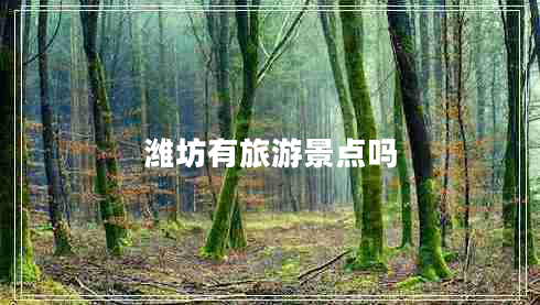 濰坊有旅游景點嗎
