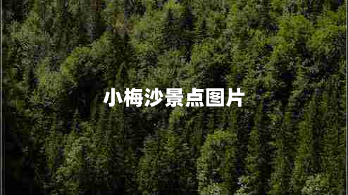 小梅沙景點圖片