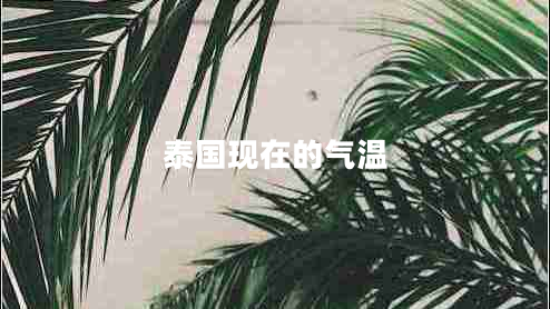 泰國(guó)現(xiàn)在的氣溫