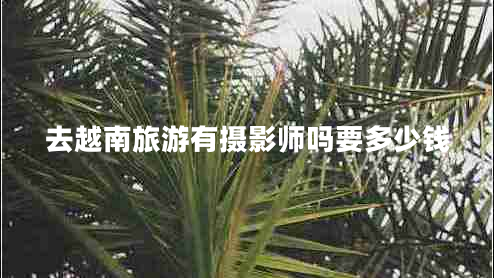 去越南旅游有攝影師嗎要多少錢