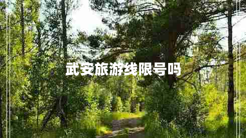 武安旅游線限號嗎