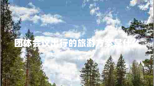 團(tuán)體會(huì)議出行的旅游方案是什么