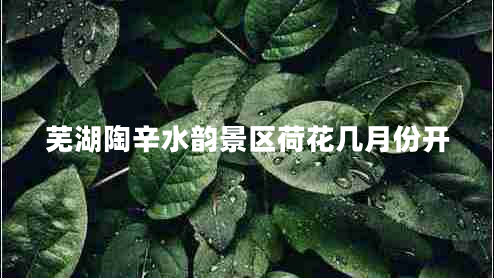 蕪湖陶辛水韻景區(qū)荷花幾月份開