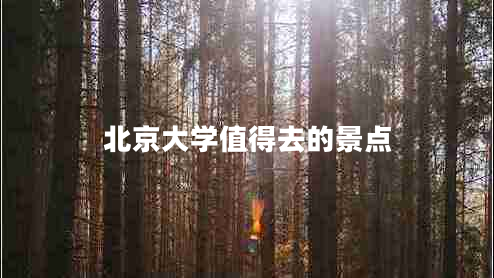 北京大學值得去的景點