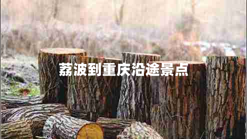 荔波到重慶沿途景點