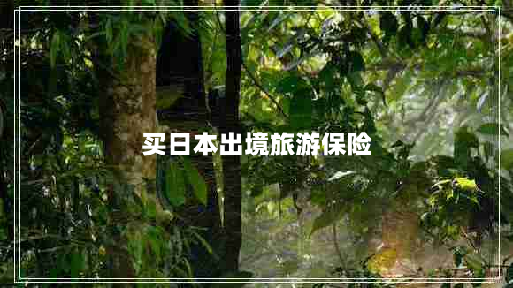 買(mǎi)日本出境旅游保險(xiǎn)