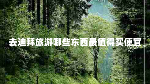 去迪拜旅游哪些東西最值得買便宜