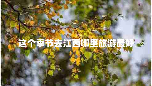 這個(gè)季節(jié)去江西哪里旅游最好
