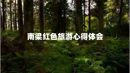 南梁紅色旅游心得體會(huì)