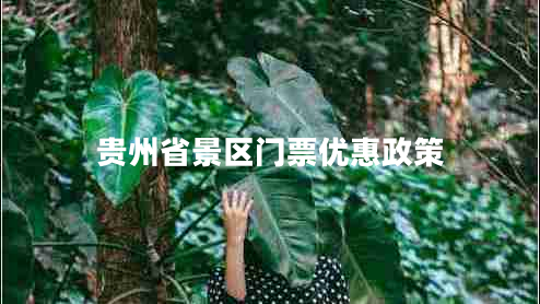 貴州省景區(qū)門票優(yōu)惠政策