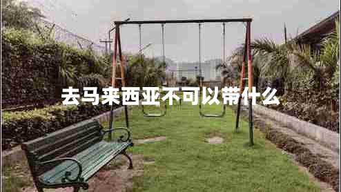 去馬來西亞不可以帶什么