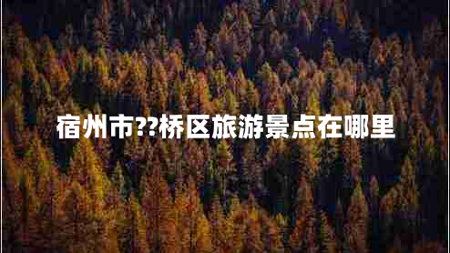 宿州市??橋區(qū)旅游景點在哪里