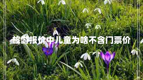 旅游報(bào)價(jià)中兒童為啥不含門票價(jià)