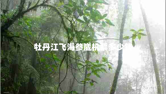 牡丹江飛海參崴機(jī)票多少錢