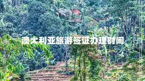 澳大利亞旅游簽證辦理時間