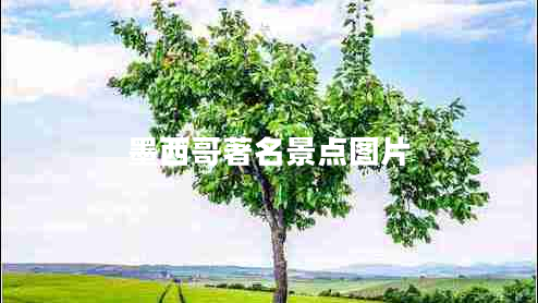 墨西哥著名景點(diǎn)圖片