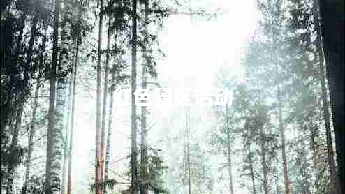 紅色景區(qū)活動(dòng)