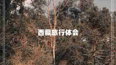 西藏旅行體會(huì)