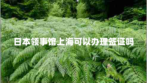 日本領(lǐng)事館上?？梢赞k理簽證嗎