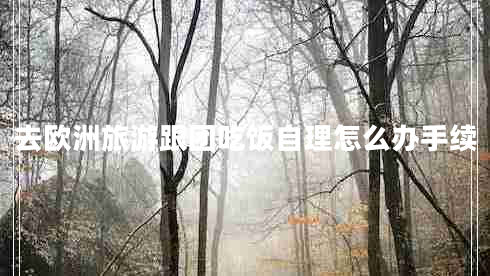 去歐洲旅游跟團吃飯自理怎么辦手續(xù)