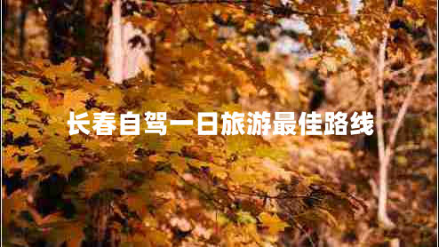 長(zhǎng)春自駕一日旅游最佳路線(xiàn)