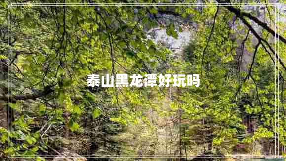泰山黑龍?zhí)逗猛鎲? title=