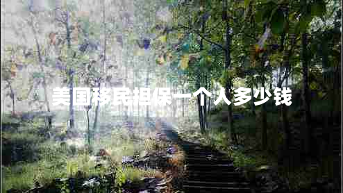 美國移民擔保一個人多少錢