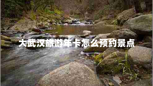 大武漢旅游年卡怎么預約景點