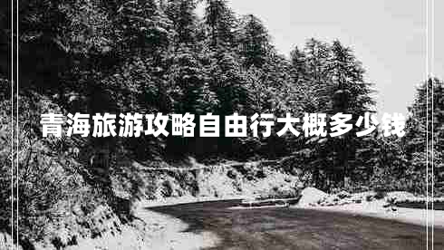 青海旅游攻略自由行大概多少錢