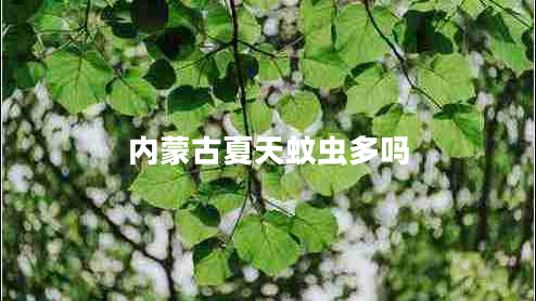 內(nèi)蒙古夏天蚊蟲多嗎