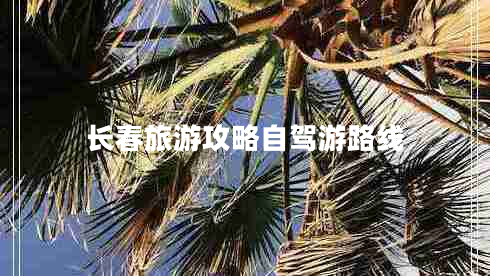 長(zhǎng)春旅游攻略自駕游路線