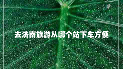 去濟(jì)南旅游從哪個(gè)站下車方便