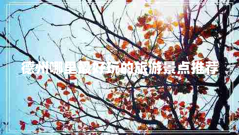 德州哪里最好玩的旅游景點推薦