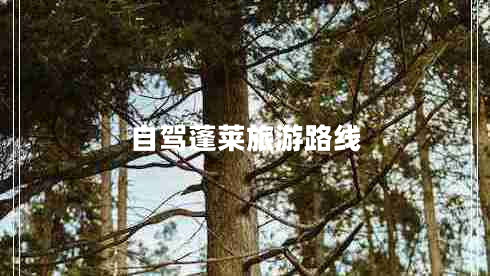 自駕蓬萊旅游路線