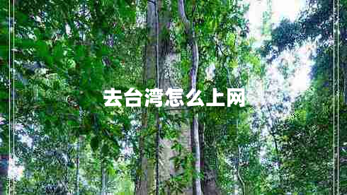 去臺灣怎么上網