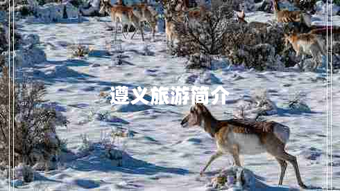 遵義旅游簡介