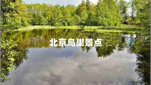 北京鳥巢景點