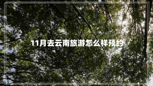 11月去云南旅游怎么樣預(yù)約