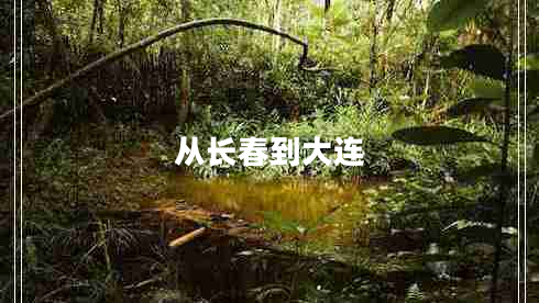 從長春到大連