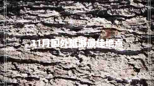 11月國外旅游最佳地點