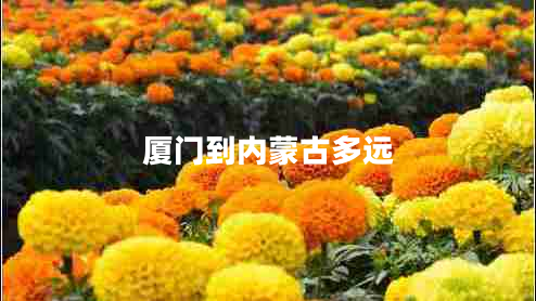 廈門到內(nèi)蒙古多遠(yuǎn)