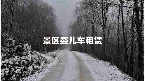 景區(qū)嬰兒車租賃