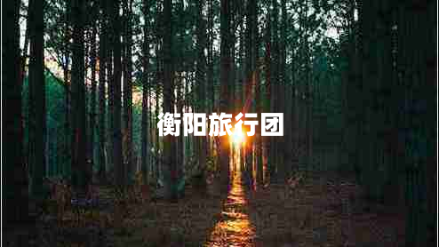 衡陽旅行團