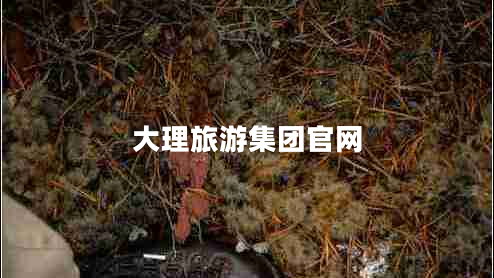 大理旅游集團(tuán)官網(wǎng)