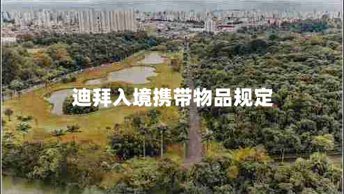 迪拜入境攜帶物品規(guī)定