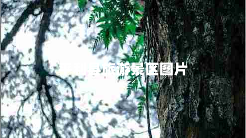 平利縣旅游景區(qū)圖片