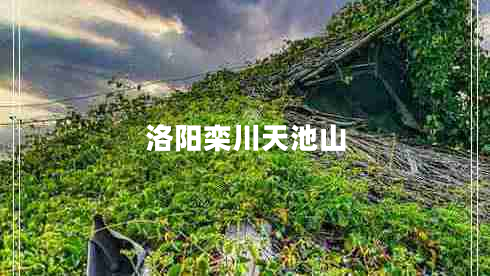 洛陽欒川天池山