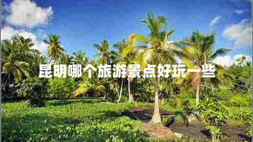 昆明哪個旅游景點(diǎn)好玩一些