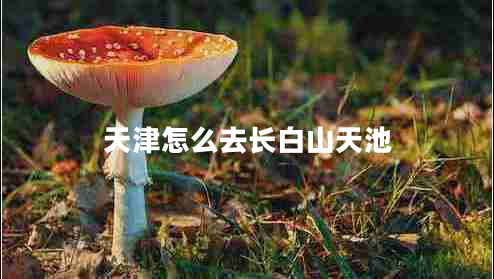 天津怎么去長白山天池