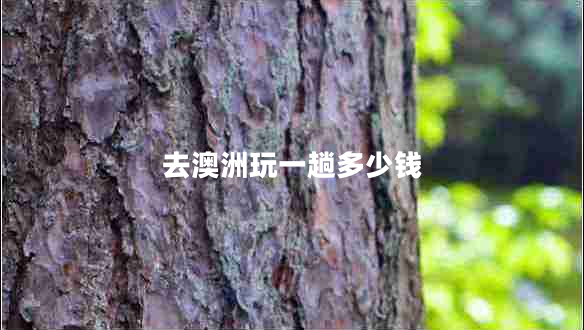 去澳洲玩一趟多少錢